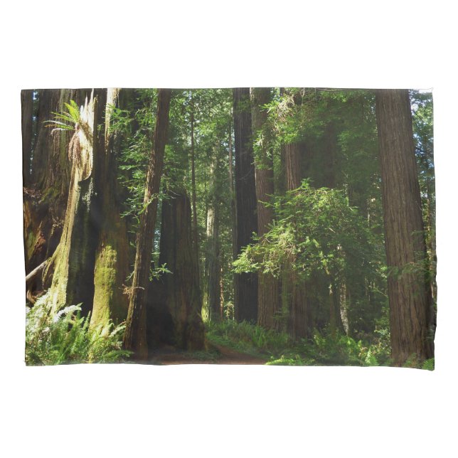 Redwoods and Ferns at Redwood National Park Pillowcase (Front)