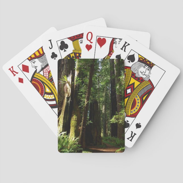Redwoods and Ferns at Redwood National Park Playing Cards (Back)