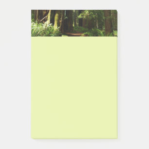Redwoods and Ferns at Redwood National Park Post-it Notes