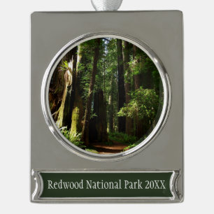 Redwoods and Ferns at Redwood National Park Silver Plated Banner Ornament