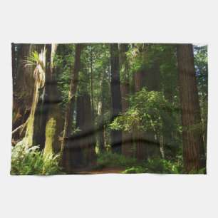 Redwoods and Ferns at Redwood National Park Tea Towel