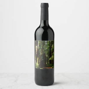 Redwoods and Ferns at Redwood National Park Wine Label