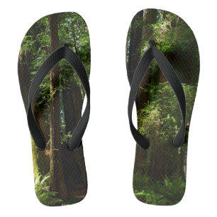 Redwoods and Ferns Flip Flops