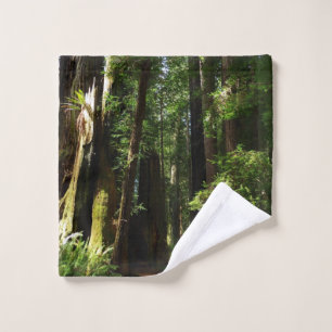 Redwoods and Ferns Wash Cloth