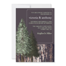 Redwoods & Bark, Rustic Wedding