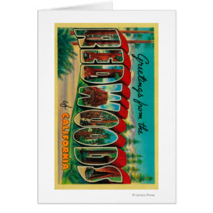 Redwoods, California - Large Letter Scenes
