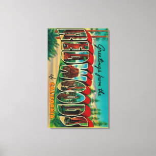 Redwoods, California - Large Letter Scenes Canvas Print