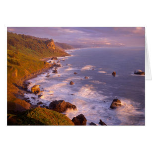 Redwoods coastline, California