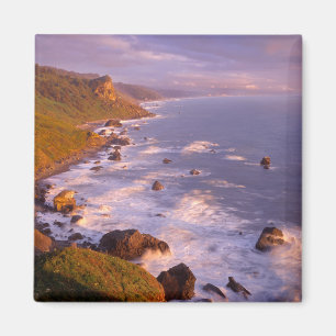 Redwoods coastline, California Magnet
