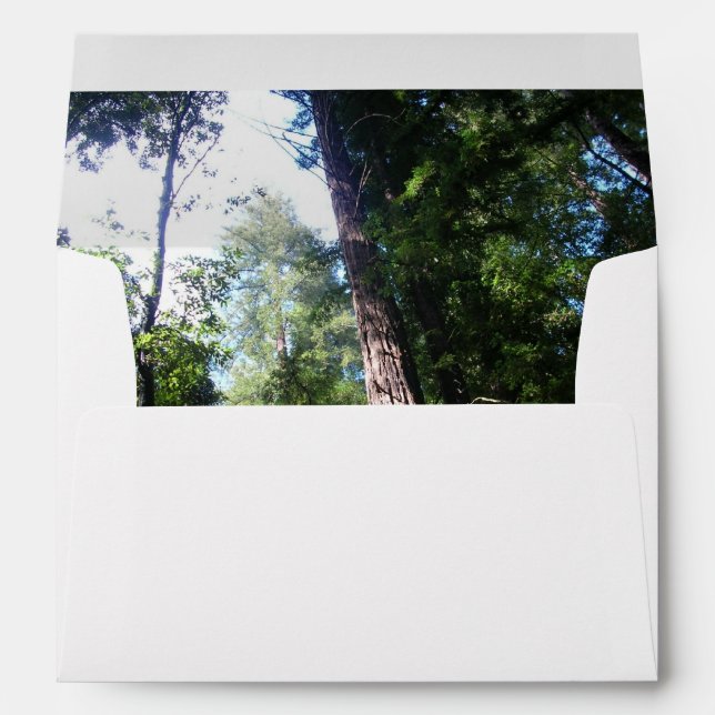Redwoods Envelope (Back (Bottom))