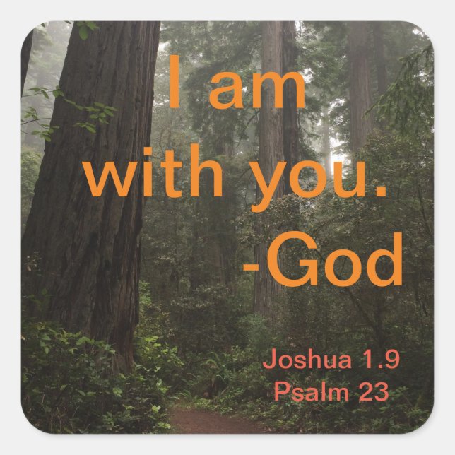 Redwoods Hiking Trail Square Sticker (Front)