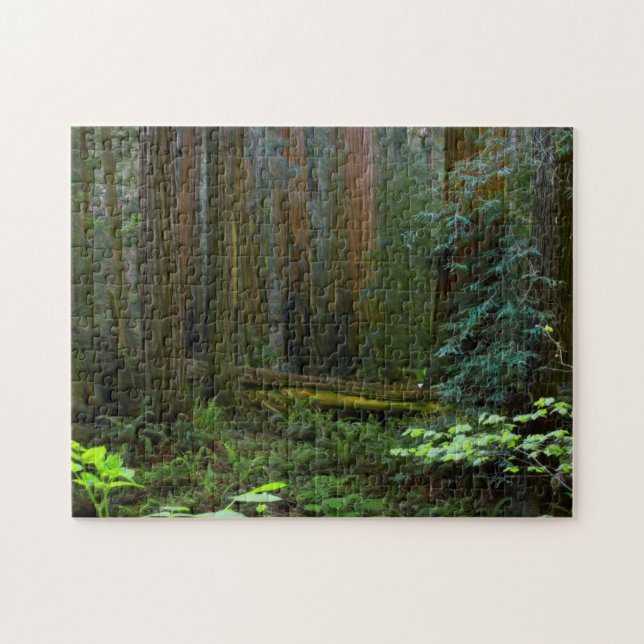 Redwoods In Muir Woods National Park Jigsaw Puzzle (Horizontal)