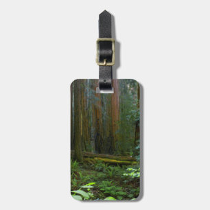 Redwoods In Muir Woods National Park Luggage Tag