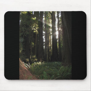 Redwoods Mouse Mat