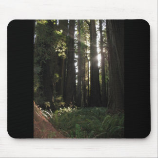 Redwoods Mouse Mat