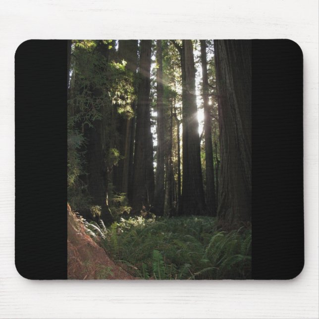 Redwoods Mouse Mat (Front)