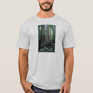Redwoods - Muir Woods National Monument T-Shirt