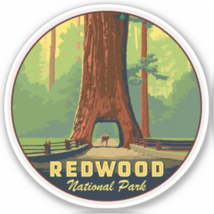 Redwoods National Park