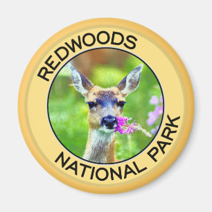 Redwoods National Park Magnet