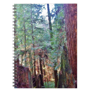 Redwoods Series #2: Through the Trees Notebook