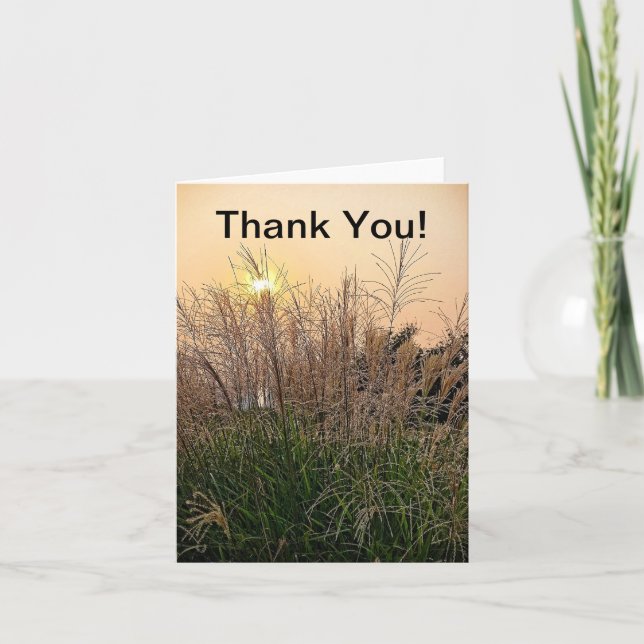 Reed At Sunset Thank You Card (Front)