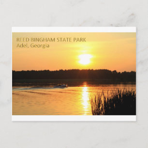 REED BINGHAM STATE PARK - Adel, Georgia Postcard