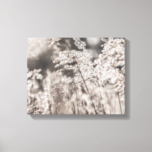 Reed Nature Photo Canvas Print (Front)