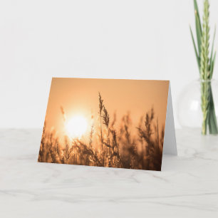 Reed Sunset Nature Photo Card