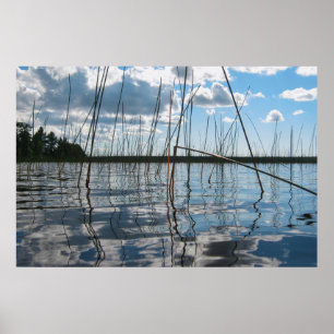 Reeds and Reflections on Rice Lake Poster