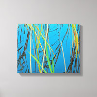 Reeds in a lake