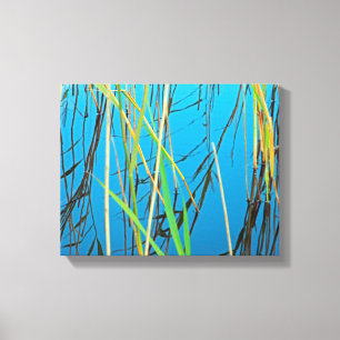 Reeds in a lake canvas print