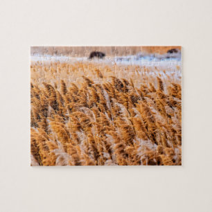 Reeds of Antelope Island, Utah - 8x10 - 110 pcs. Jigsaw Puzzle