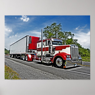 Reed's W900L Poster