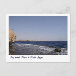 Reef beach, Sharm el Sheikh, Egypt Postcard
