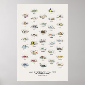Reef & Coastal Tropical Fish-Naturalist's Library Poster