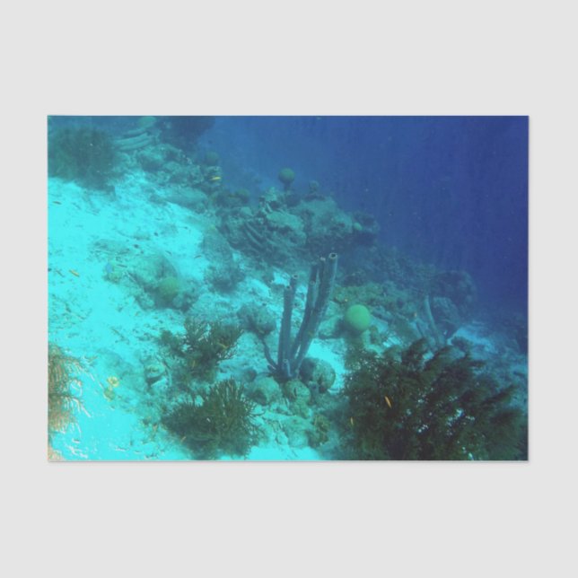 Reef Edge Tissue Paper (Front)