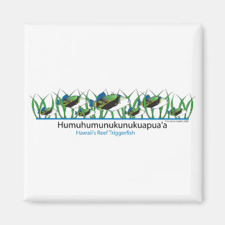 Reef-Fish- Magnet