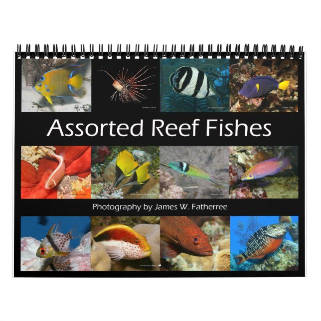 Reef Fishes Wall Calendar 2 by J.W. Fatherree (Cover)