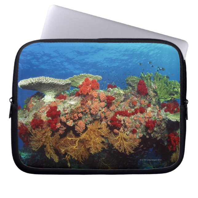 Reef of Corals Laptop Sleeve (Front)