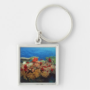 Reef scenic of hard corals , soft corals key ring