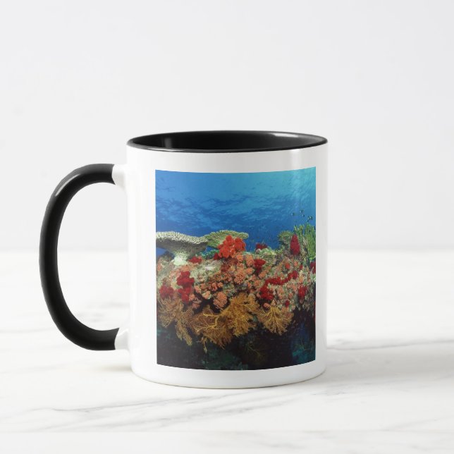 Reef scenic of hard corals , soft corals mug (Left)