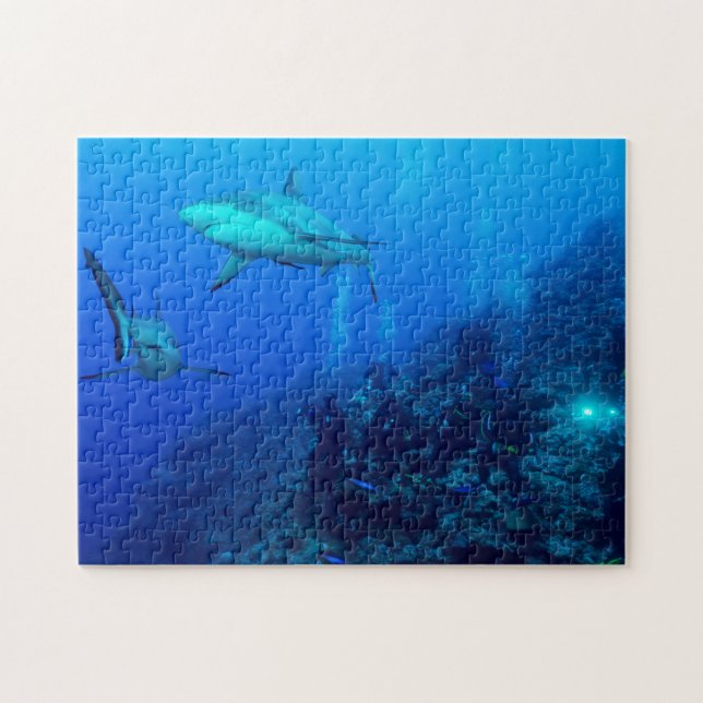 Reef Shark and Divers Jigsaw Puzzle (Horizontal)