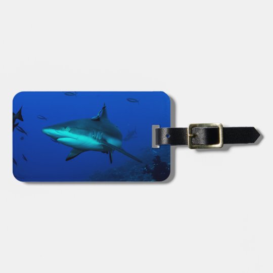 Reef Shark Luggage Tag Zazzle.co.uk
