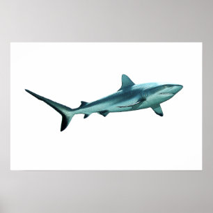 Reefshark - Abstract Design - Cut out of a photo   Poster