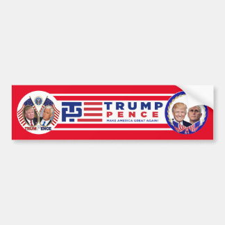 REELECT TRUMP PENCE BUMPER STICKER