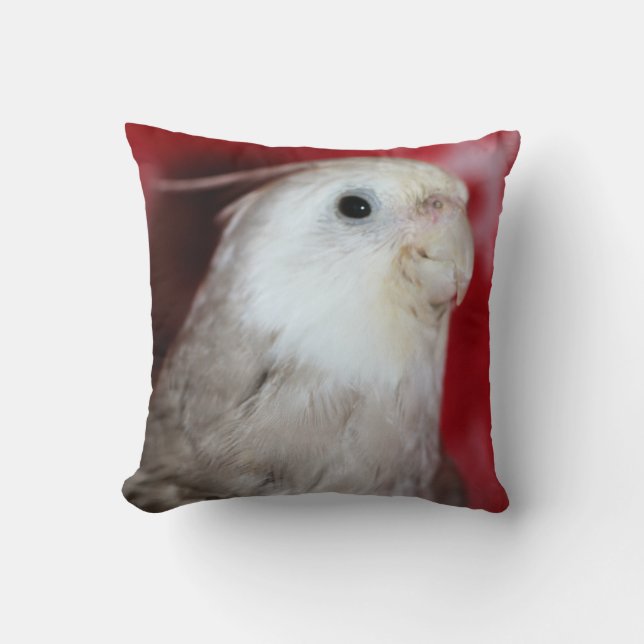 Reeples Cushion (Front)