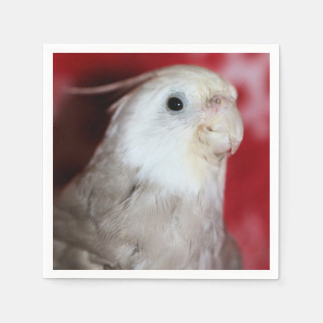 Reeples Napkin (Front)