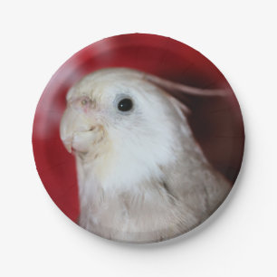 Reeples Paper Plate