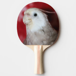 Reeples Ping Pong Paddle