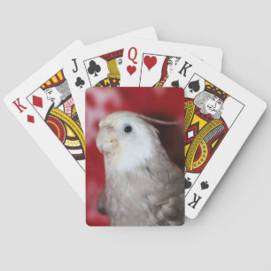 Reeples Playing Cards